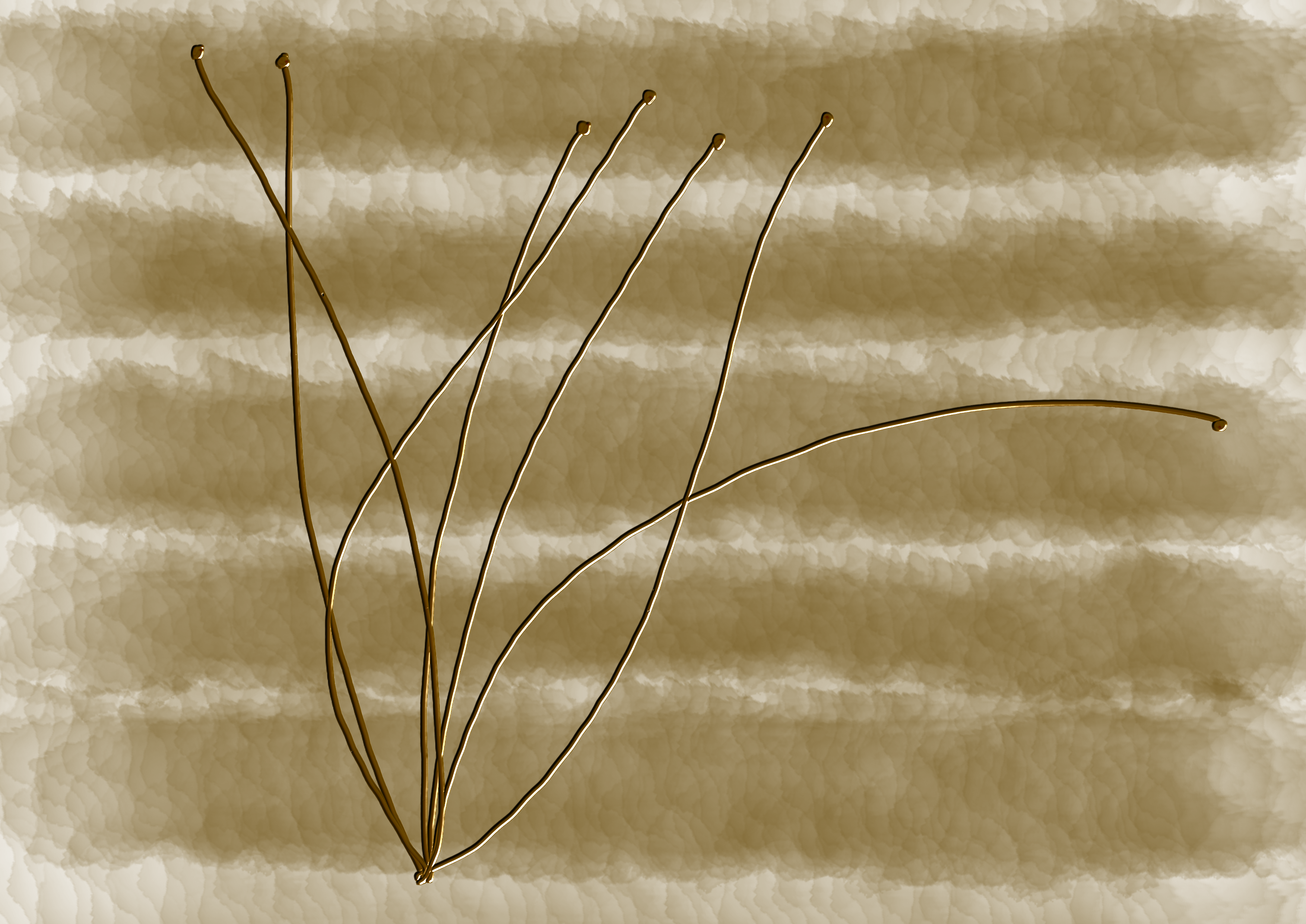 The Promise of Bloom